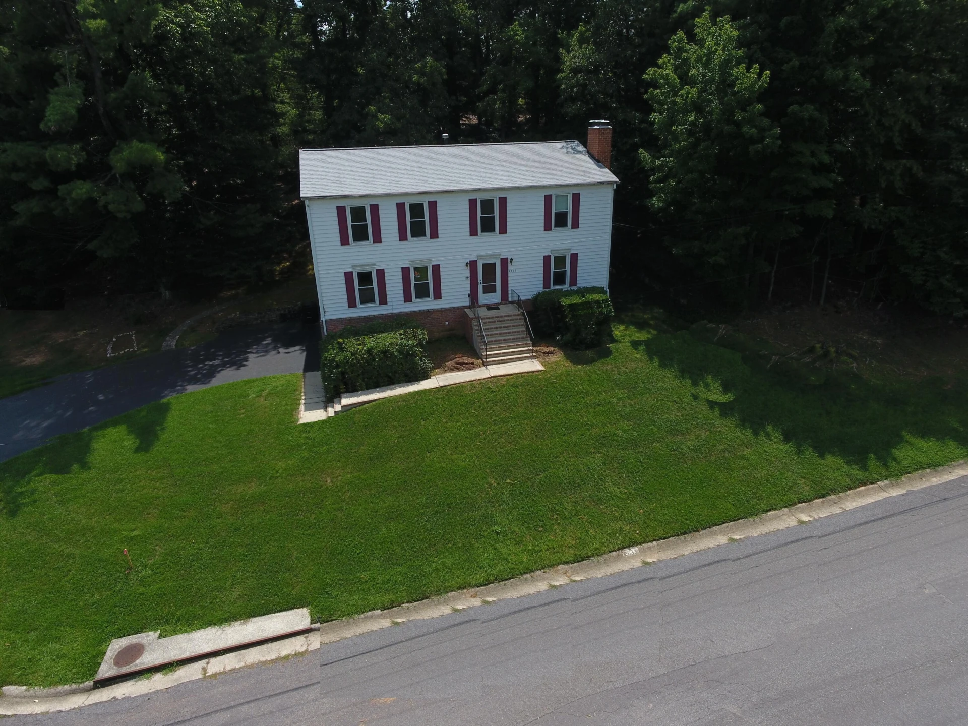 2633 Wood Warbler LN