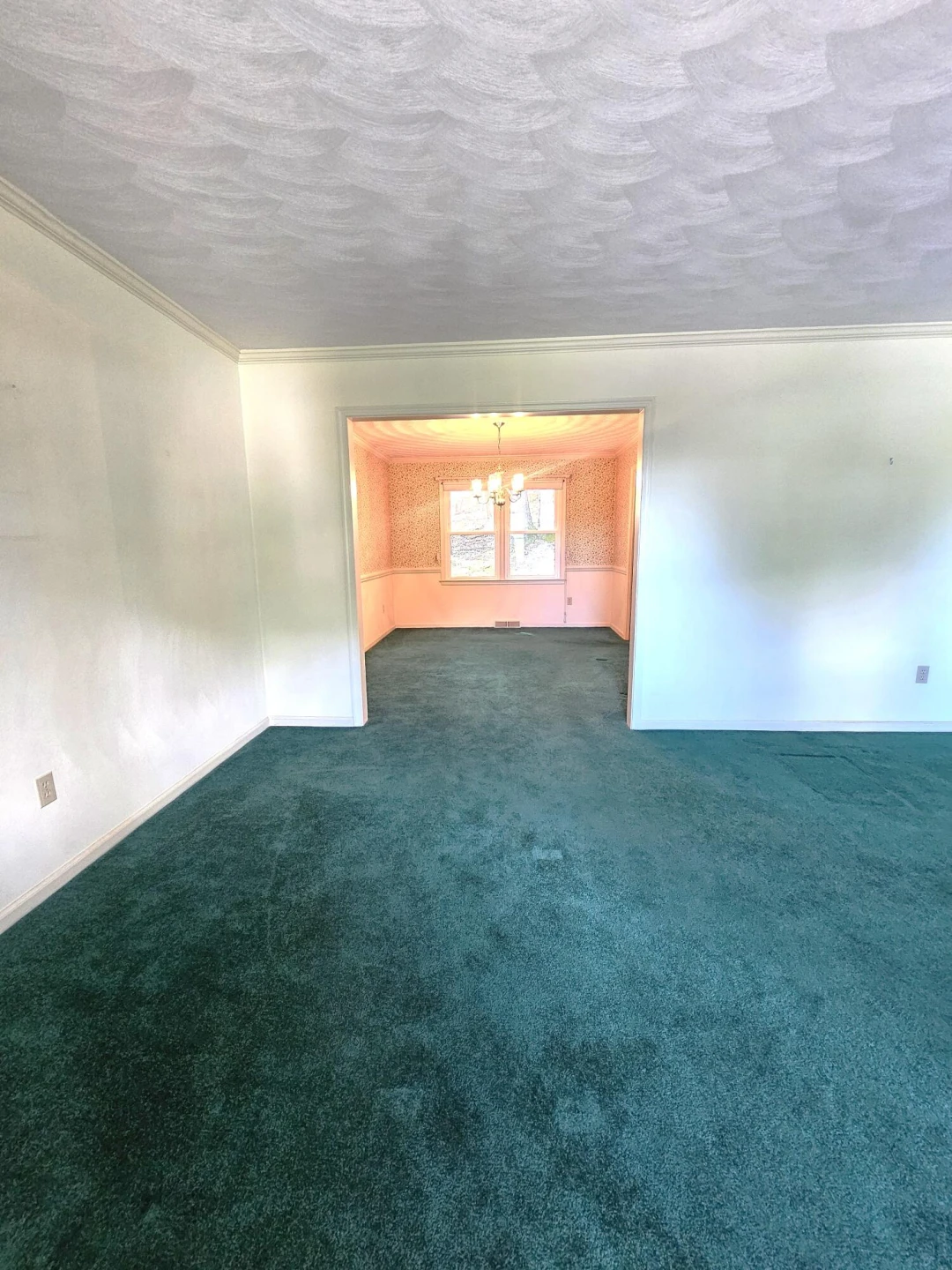 2633 Wood Warbler LN - Photo 12