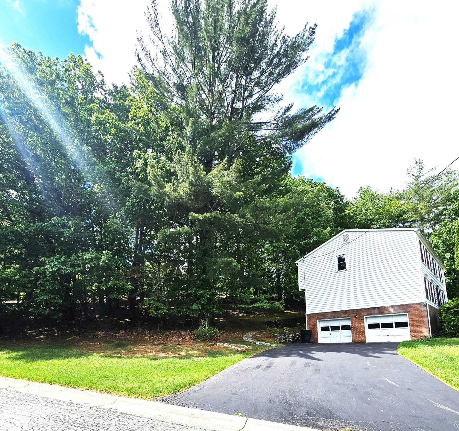 2633 Wood Warbler LN - Photo 3