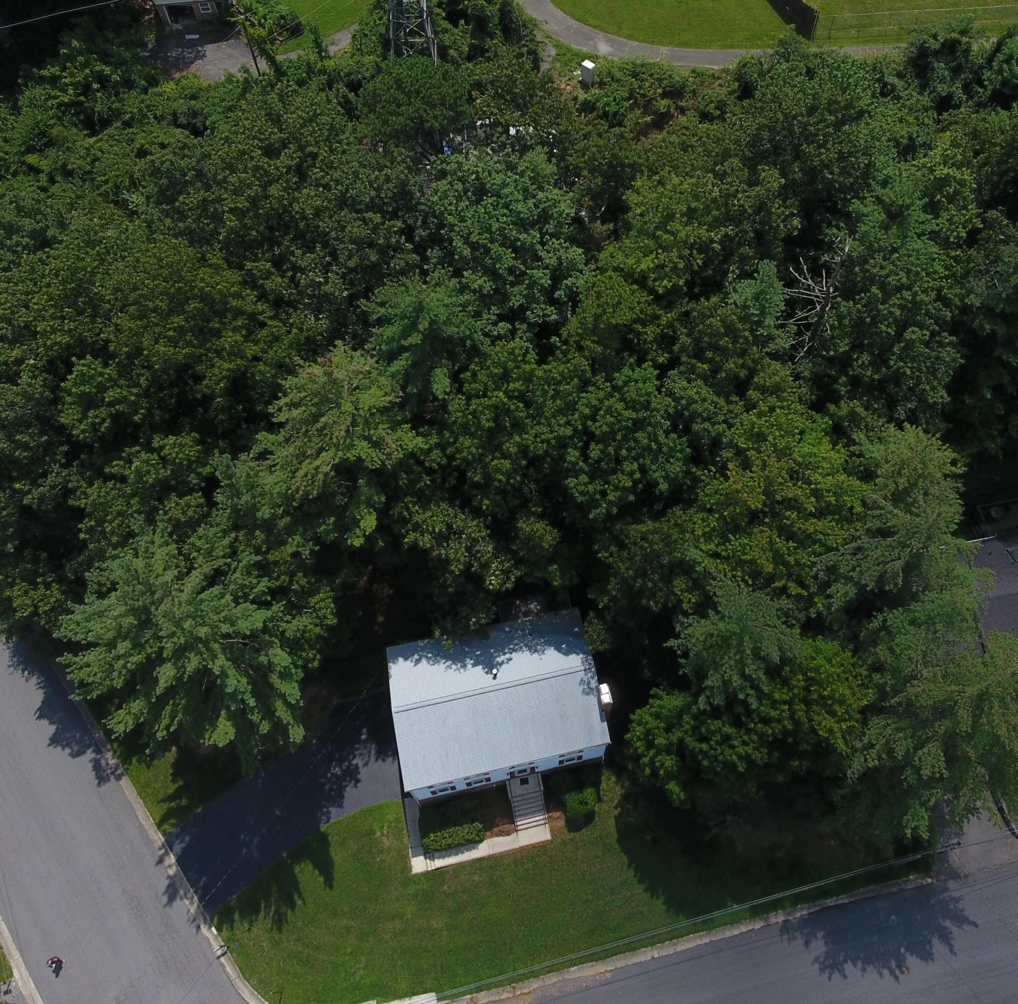 2633 Wood Warbler LN - Photo 5