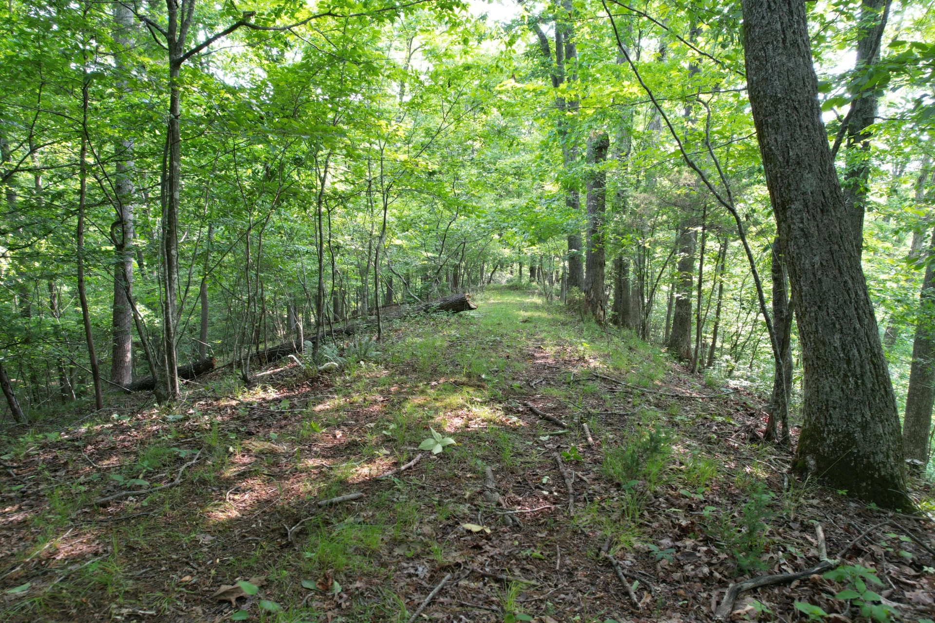 250 Knoll Ridge LN - Photo 104