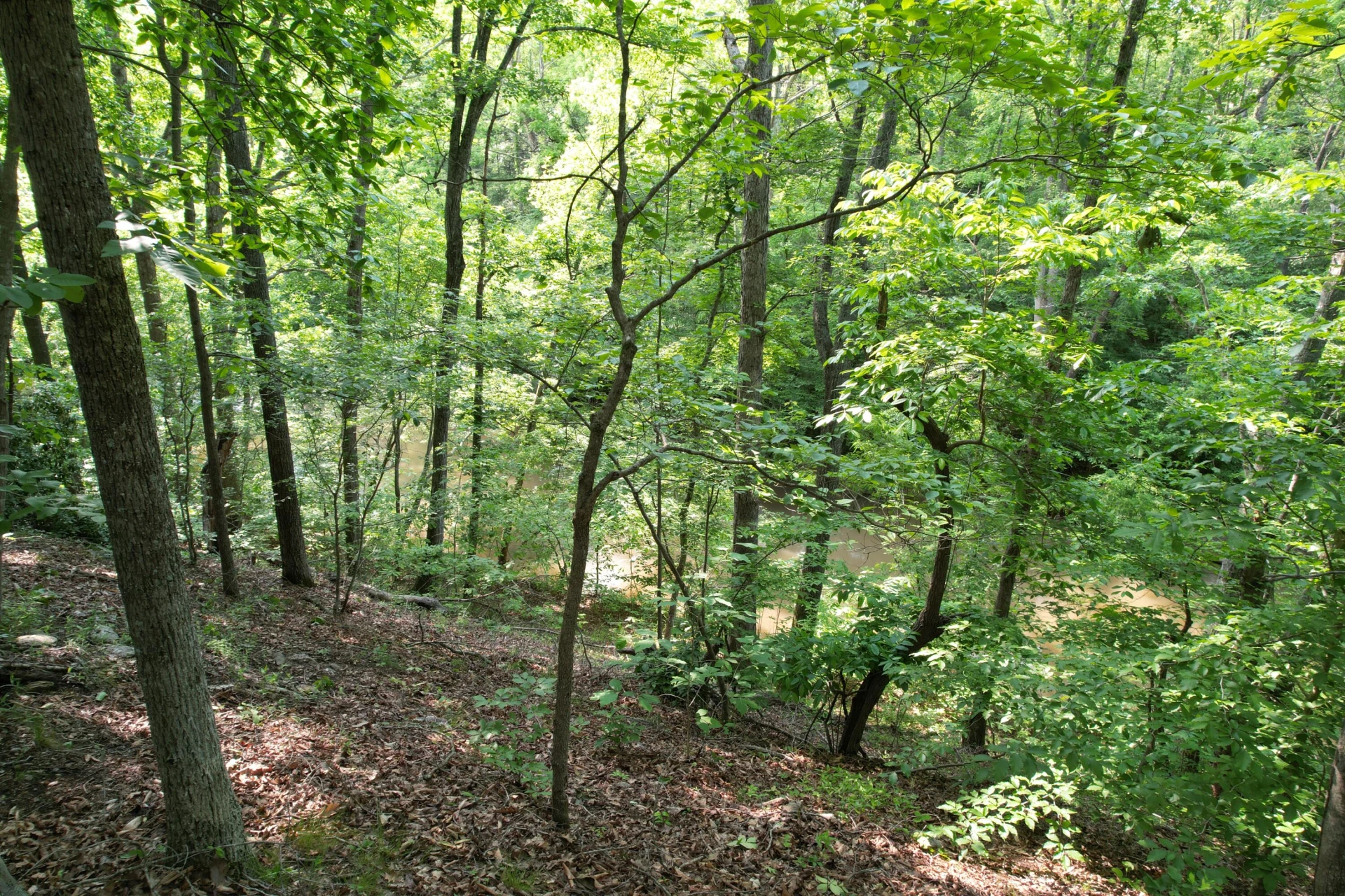 250 Knoll Ridge LN - Photo 105
