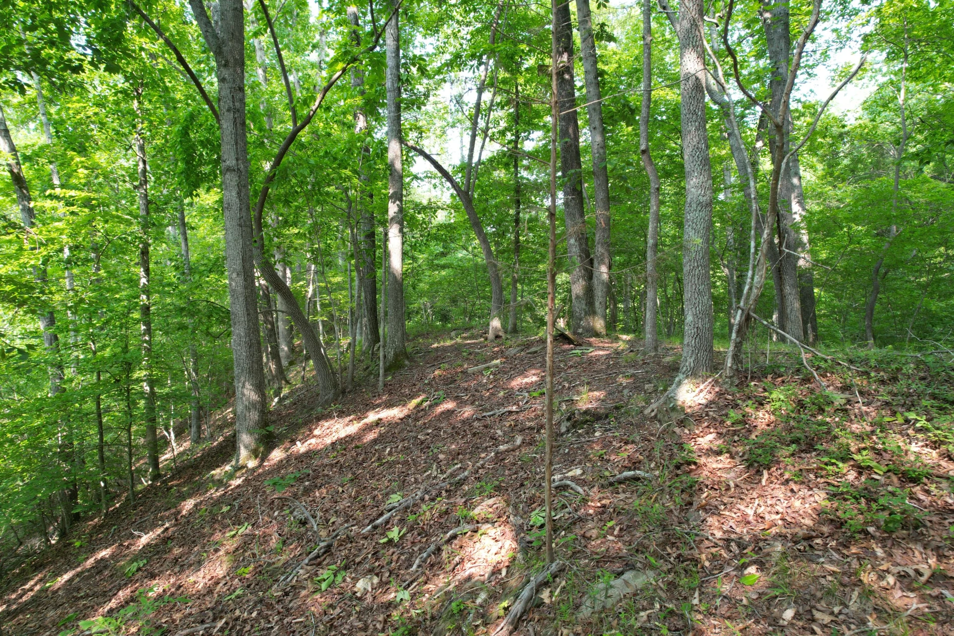250 Knoll Ridge LN - Photo 106