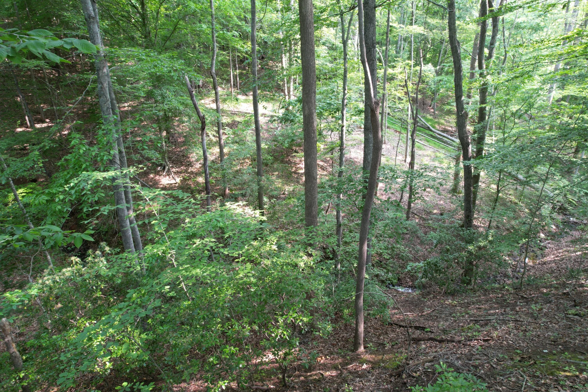 250 Knoll Ridge LN - Photo 107