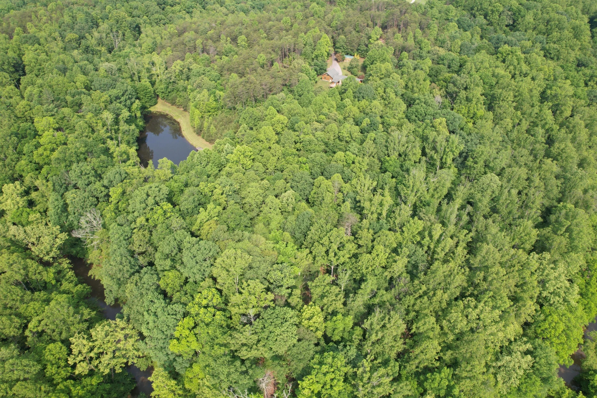 250 Knoll Ridge LN - Photo 110