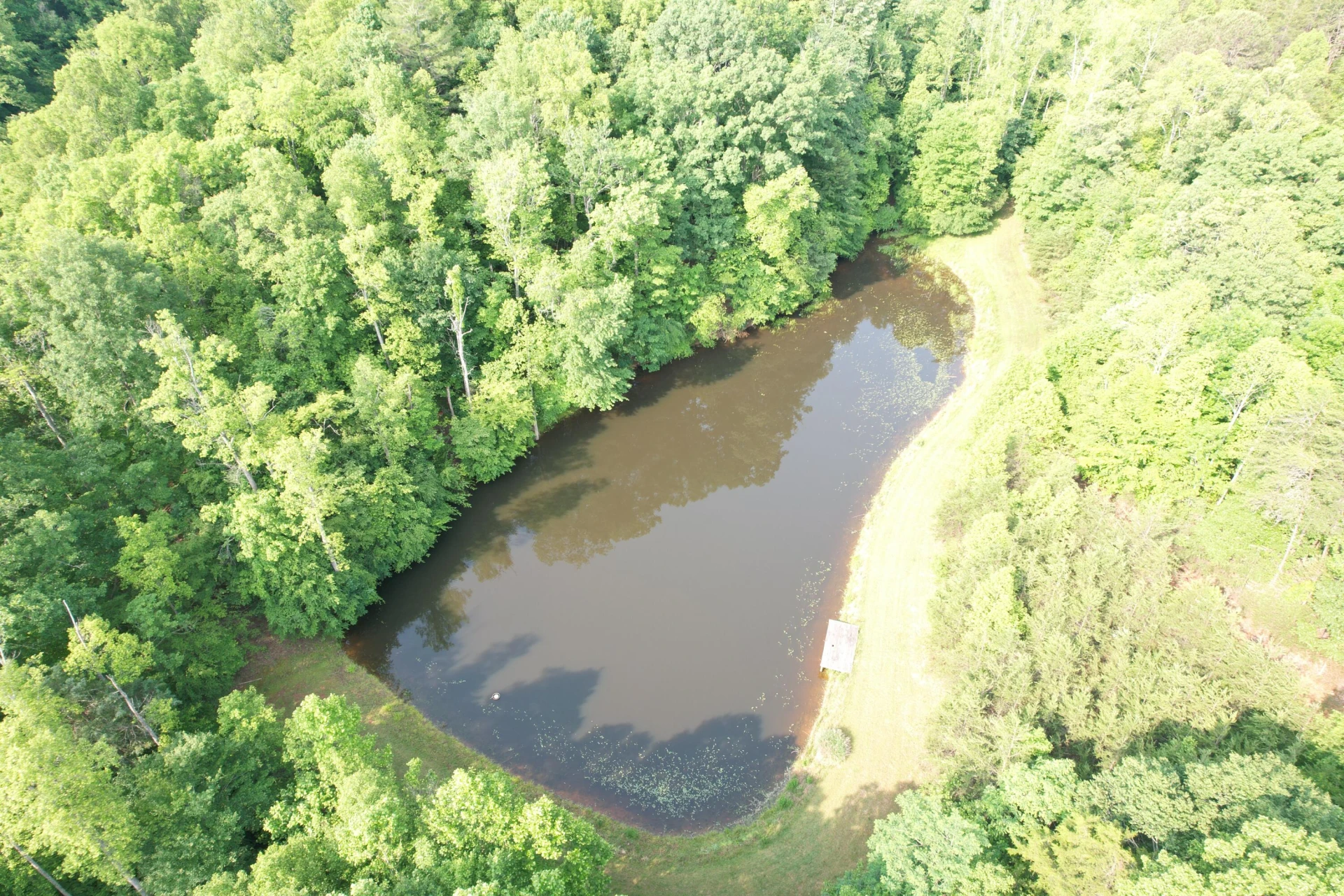 250 Knoll Ridge LN - Photo 24