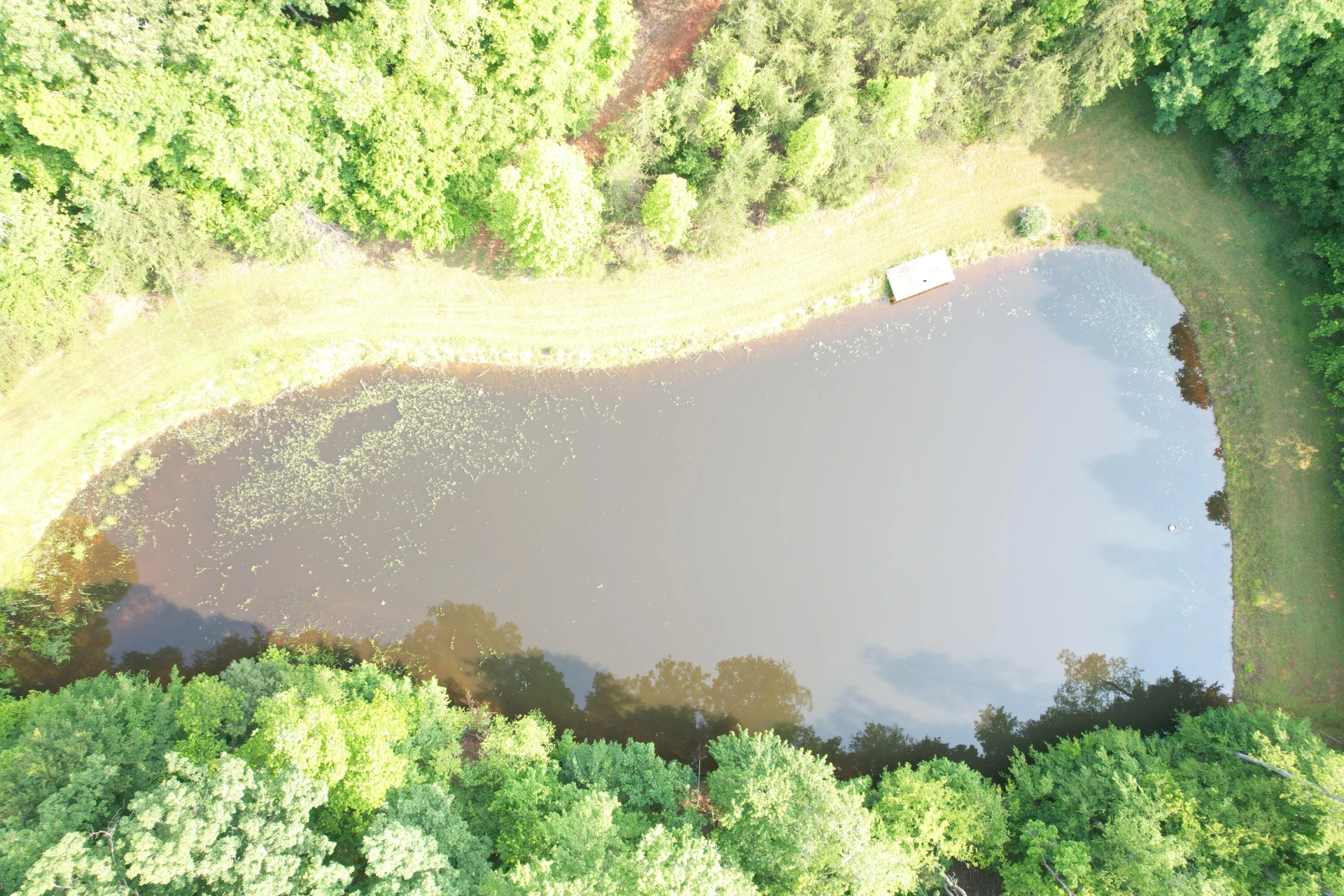 250 Knoll Ridge LN - Photo 89