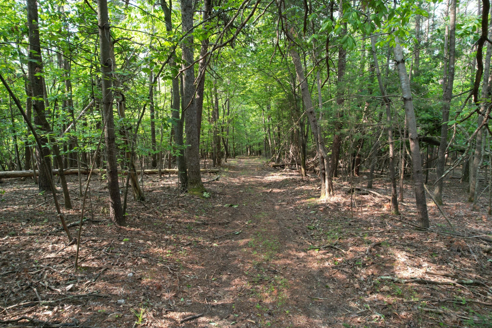 250 Knoll Ridge LN - Photo 96