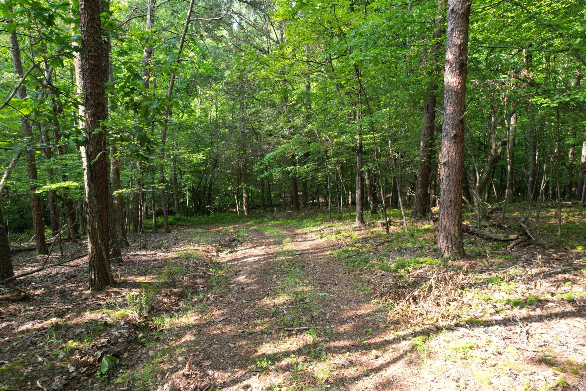 250 Knoll Ridge LN - Photo 97