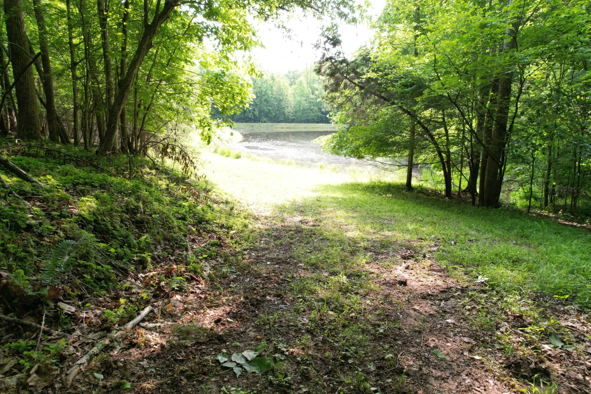 250 Knoll Ridge LN - Photo 98
