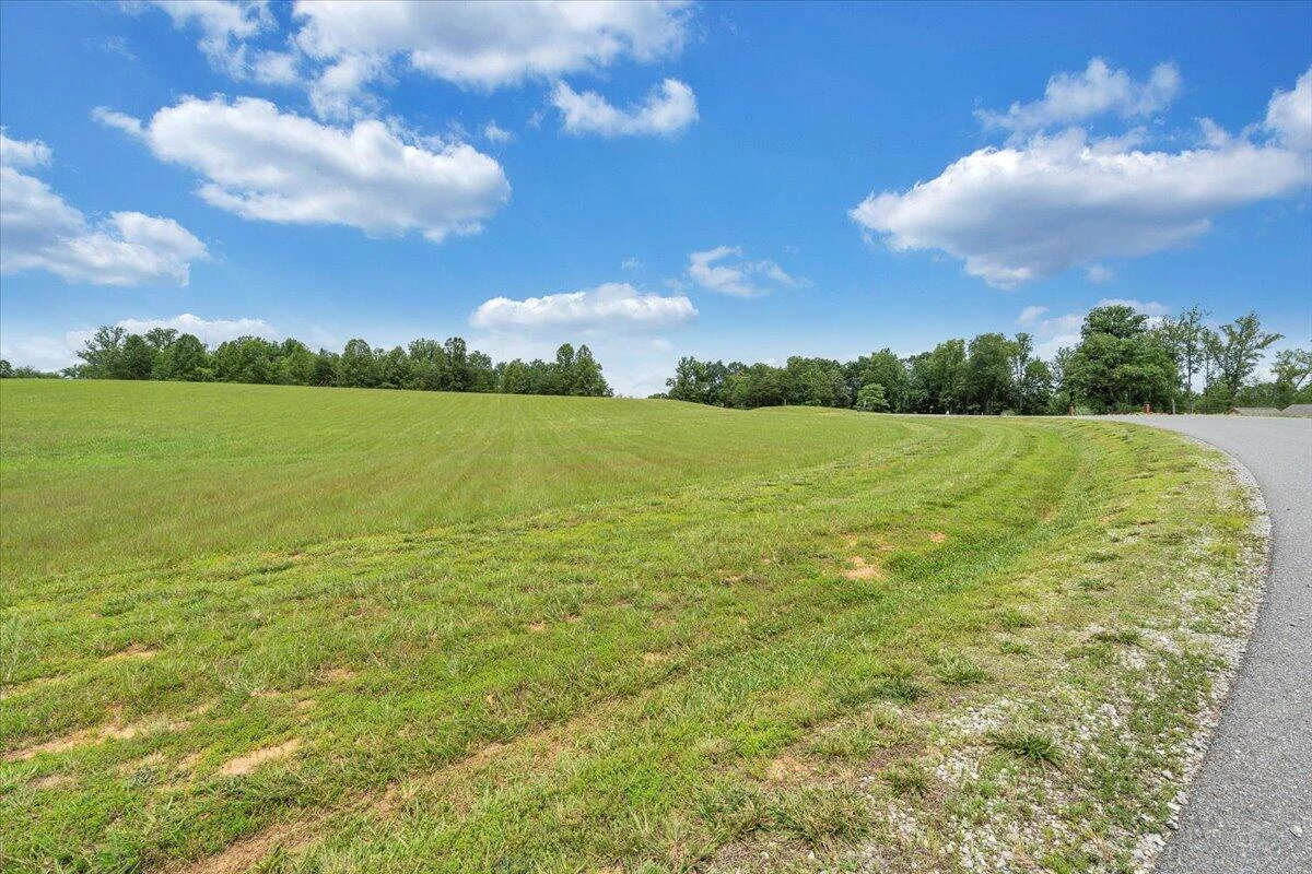 Lot 44 Congressional WAY - Photo 36