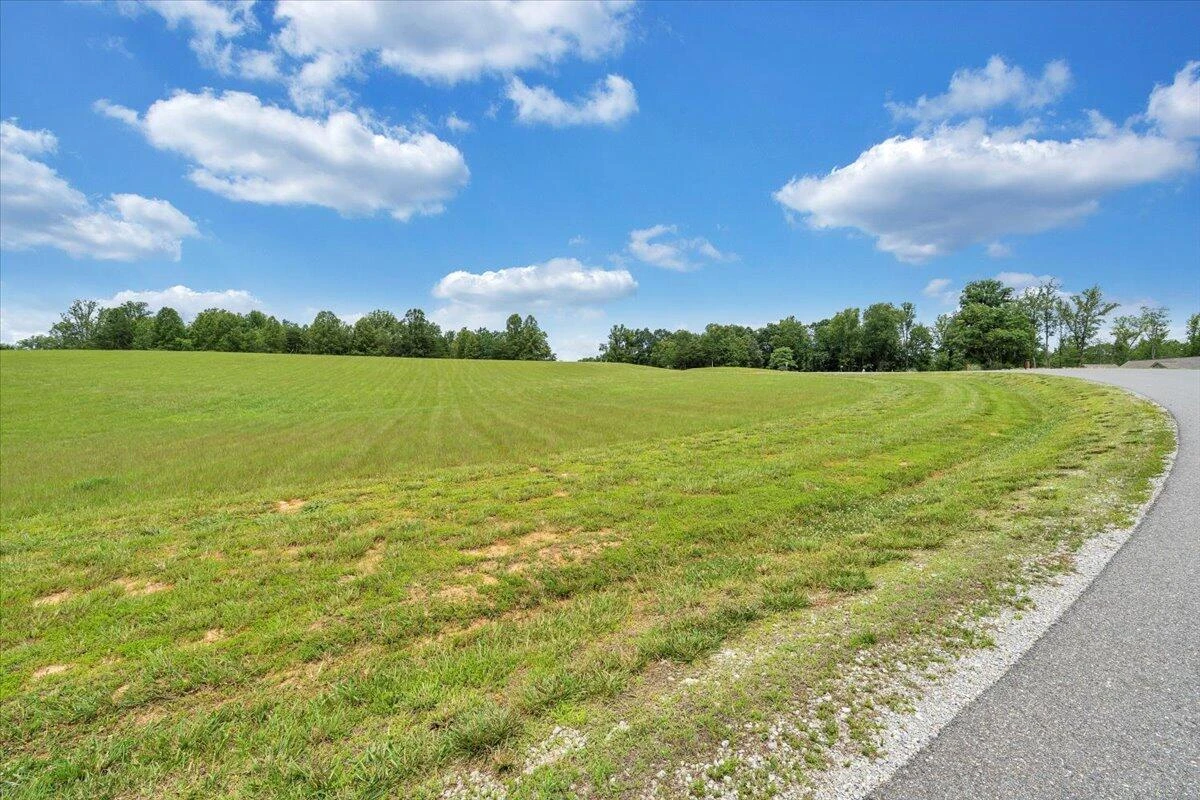 Lot 44 Congressional WAY - Photo 37