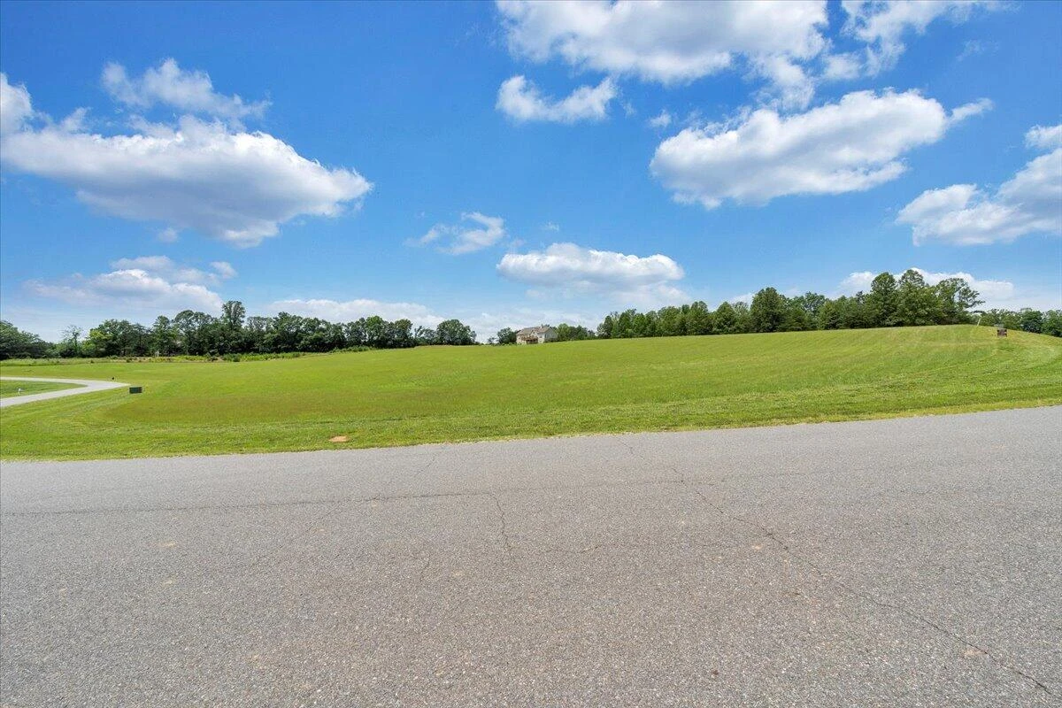 Lot 44 Congressional WAY - Photo 38