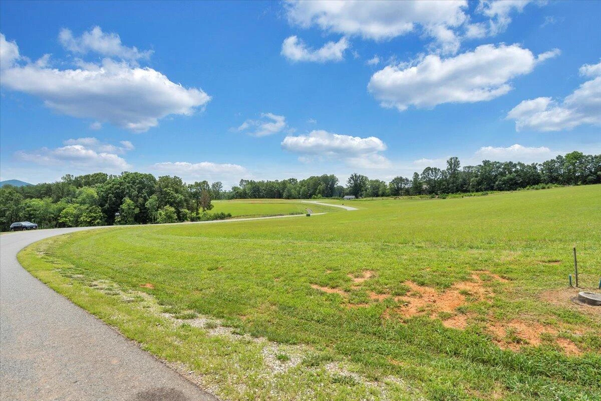 Lot 44 Congressional WAY - Photo 39