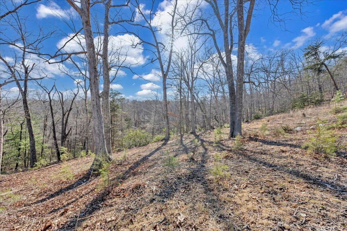 2534 Paris Mountain RD - Photo 61