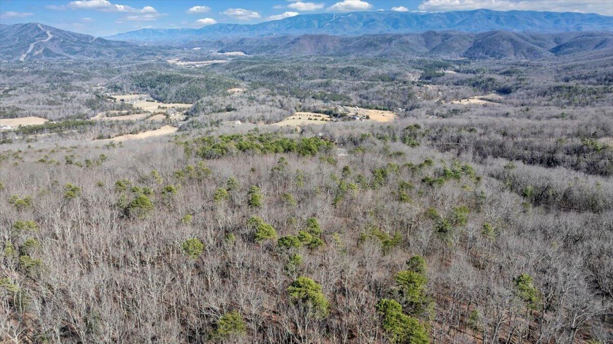 2534 Paris Mountain RD - Photo 70