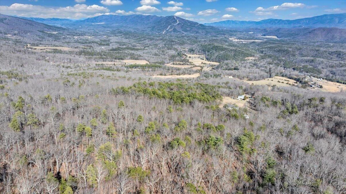 2534 Paris Mountain RD - Photo 71
