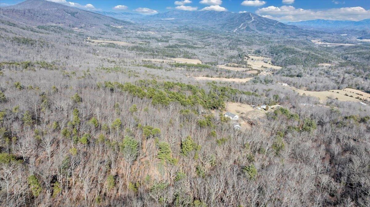 2534 Paris Mountain RD - Photo 72