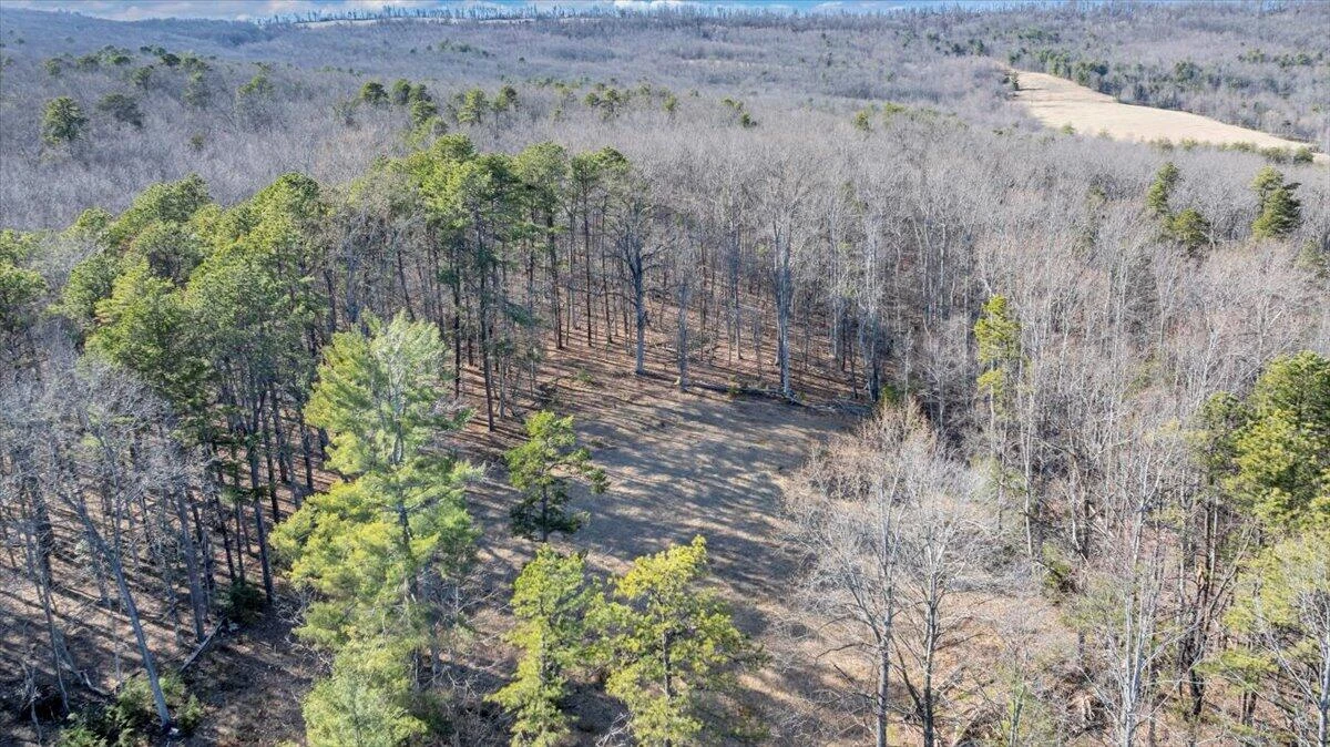 2534 Paris Mountain RD - Photo 79
