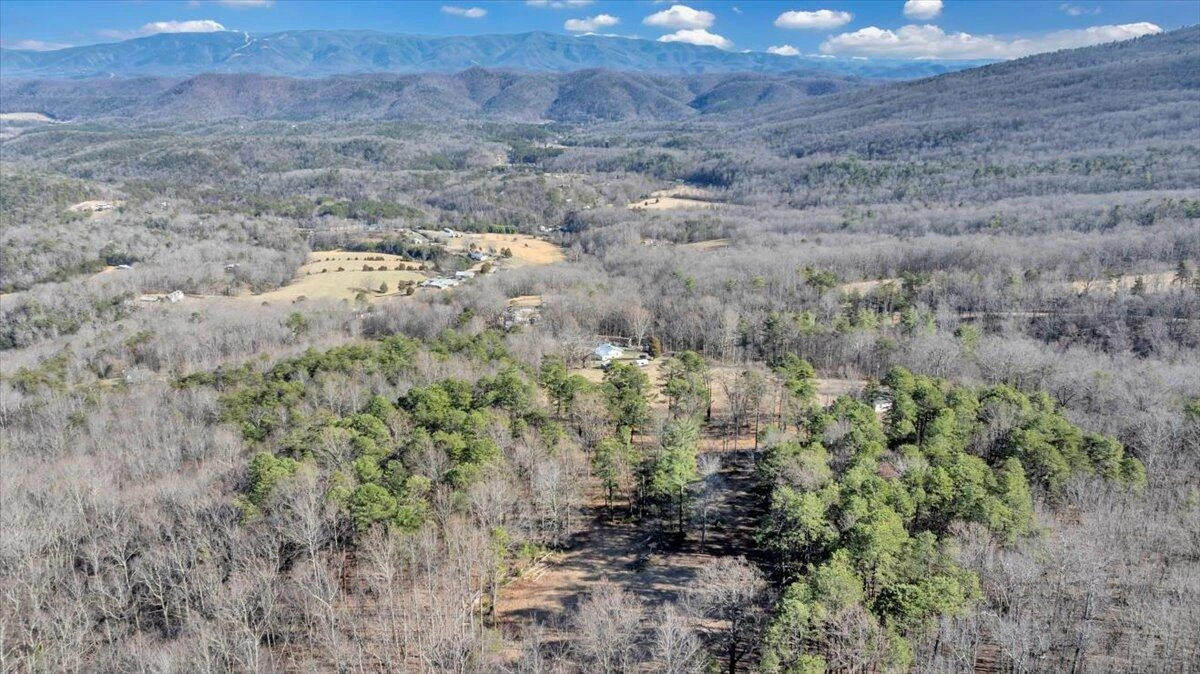 2534 Paris Mountain RD - Photo 80