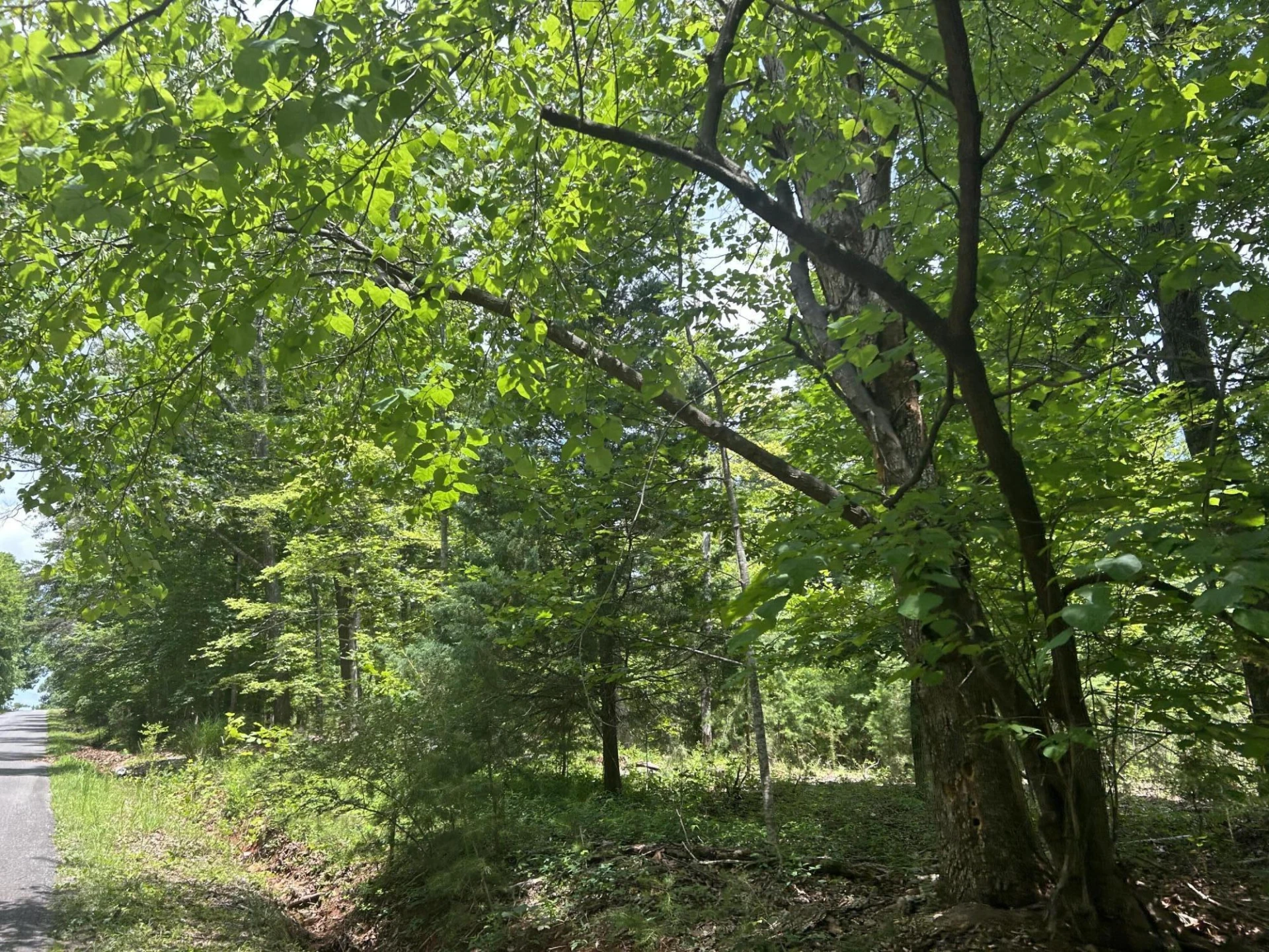 0 Buccaneer RD - Photo 4