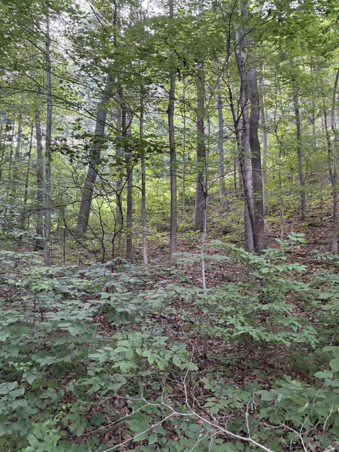 1604 Hoke RD - Photo 3