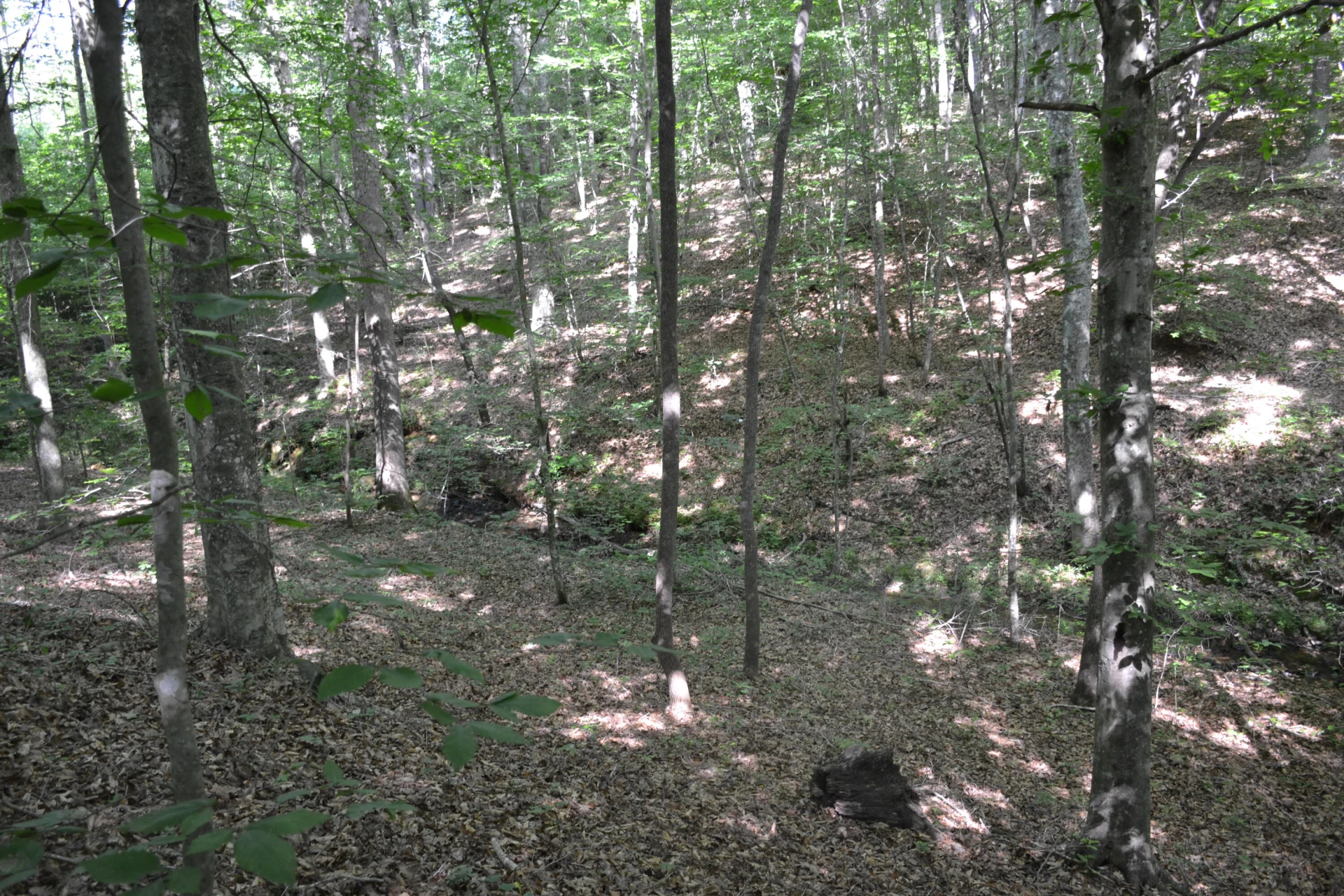 0 HackBerry LN - Photo 7