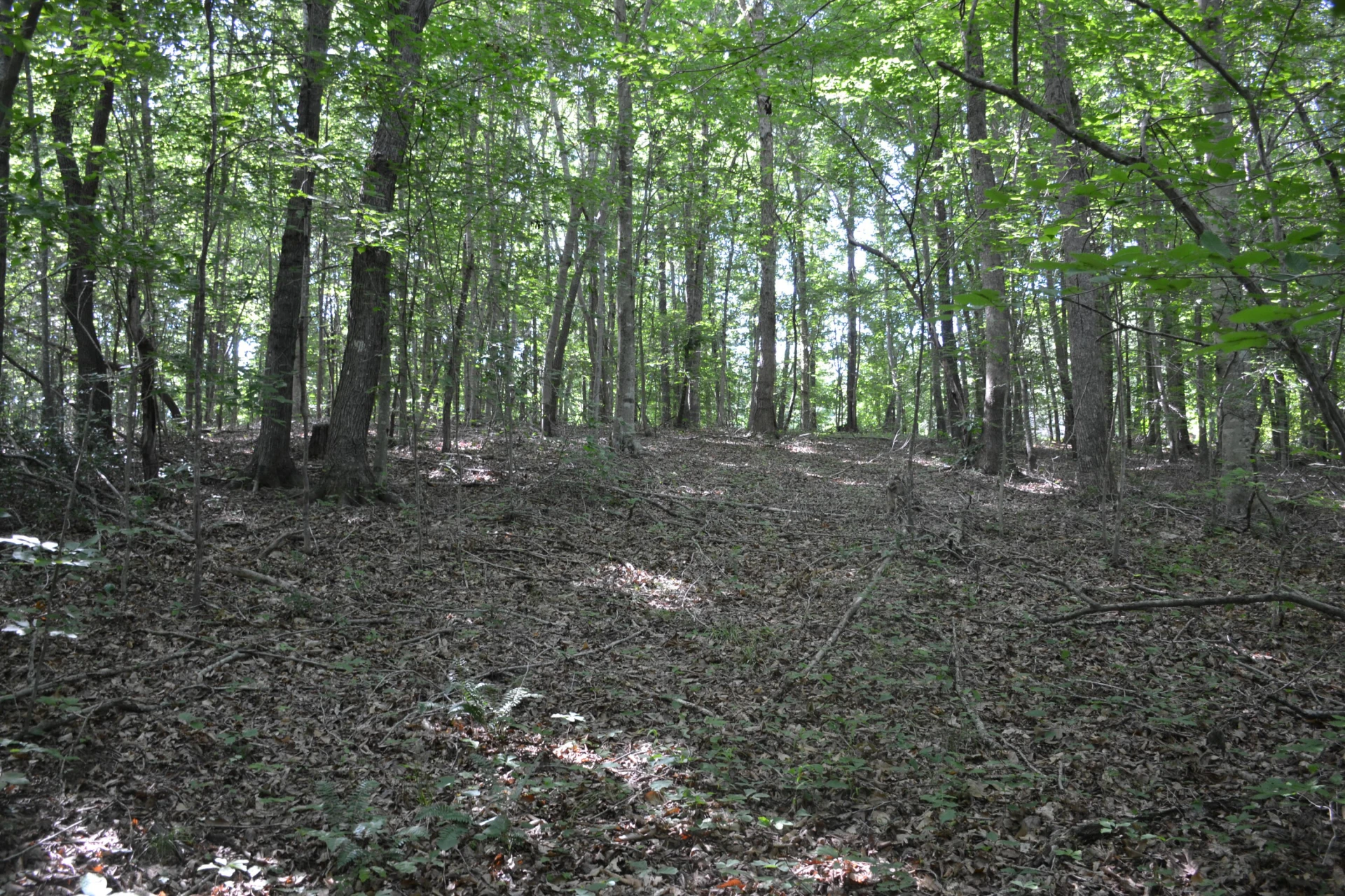0 HackBerry LN - Photo 8