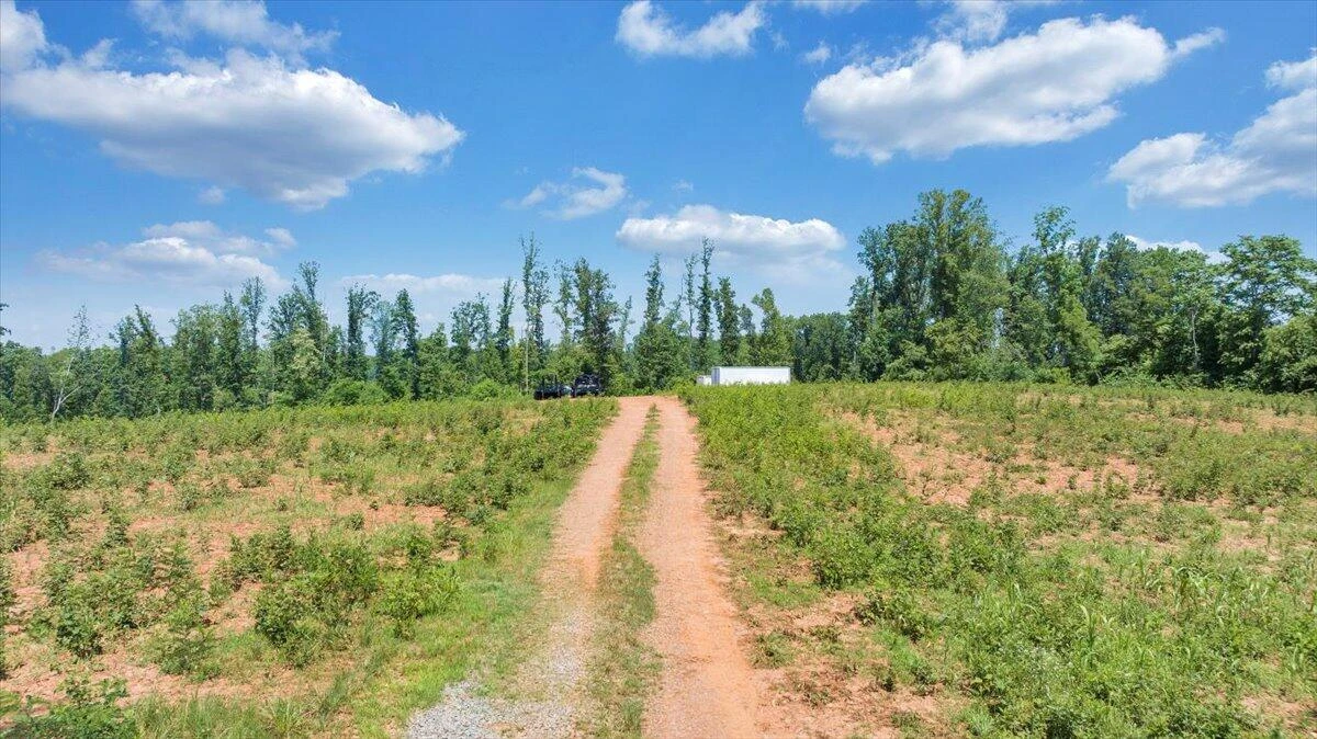 0 Webster RD - Photo 11