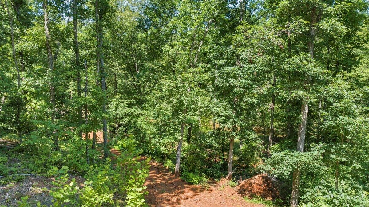 0 Webster RD - Photo 34