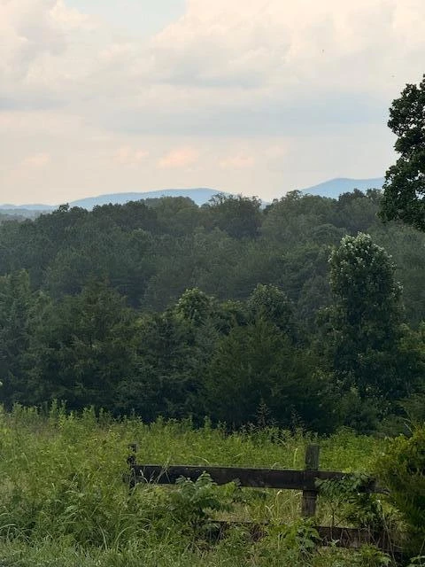 0 Webster RD - Photo 35