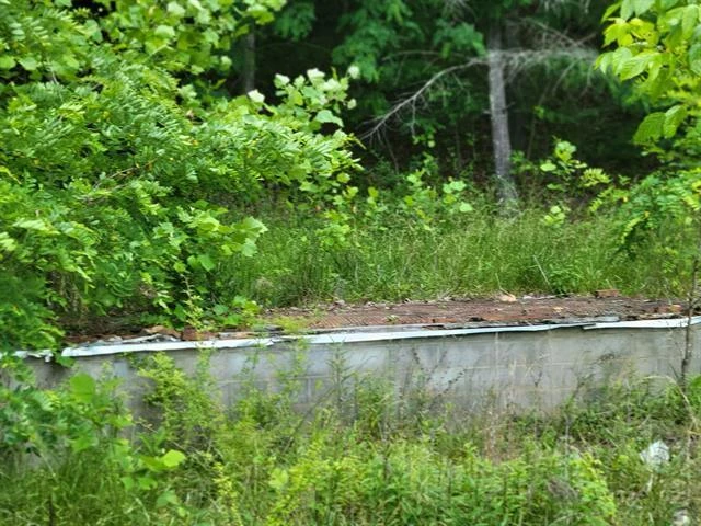 4231 Little Creek RD - Photo 10