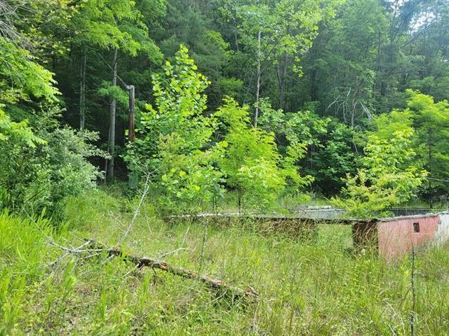 4231 Little Creek RD - Photo 11