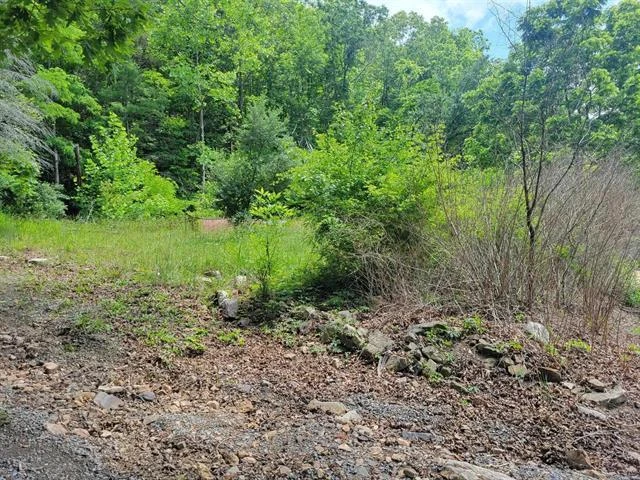 4231 Little Creek RD - Photo 12
