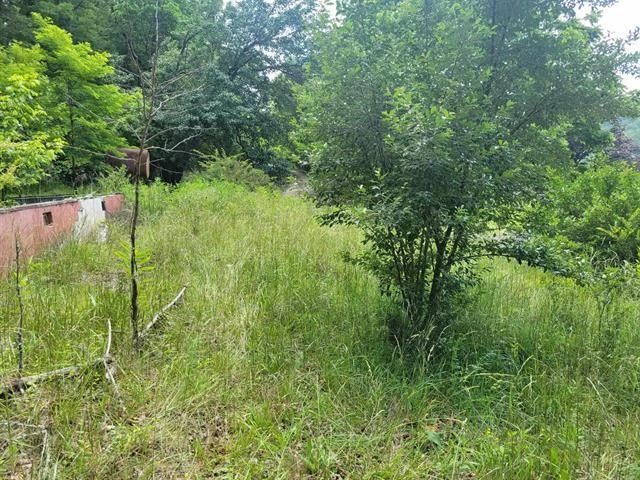 4231 Little Creek RD - Photo 13