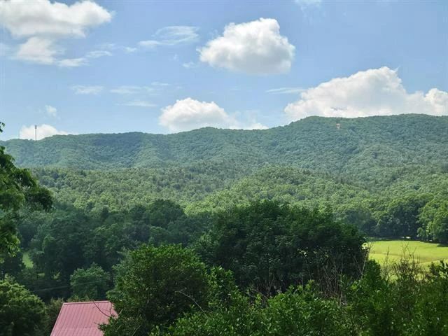 4231 Little Creek RD - Photo 3