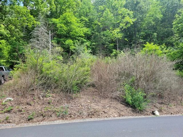 4231 Little Creek RD - Photo 5