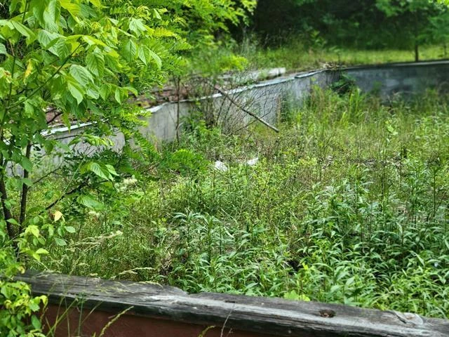 4231 Little Creek RD - Photo 7