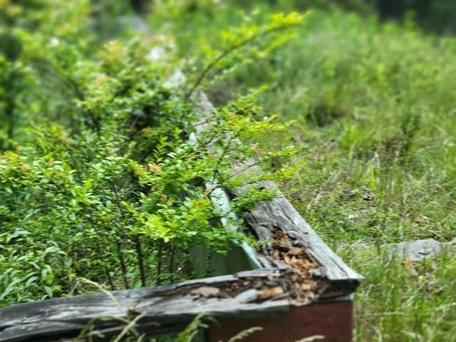 4231 Little Creek RD - Photo 8