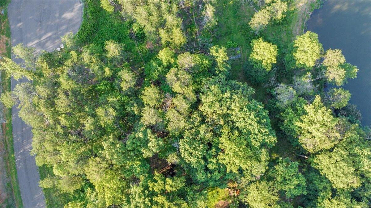 Lot 95 Crestview Dr - Photo 48