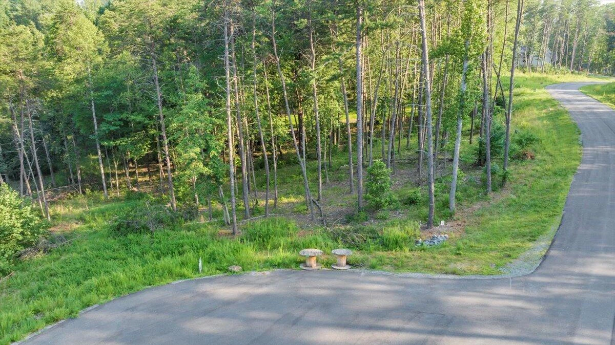 Lot 95 Crestview Dr - Photo 49