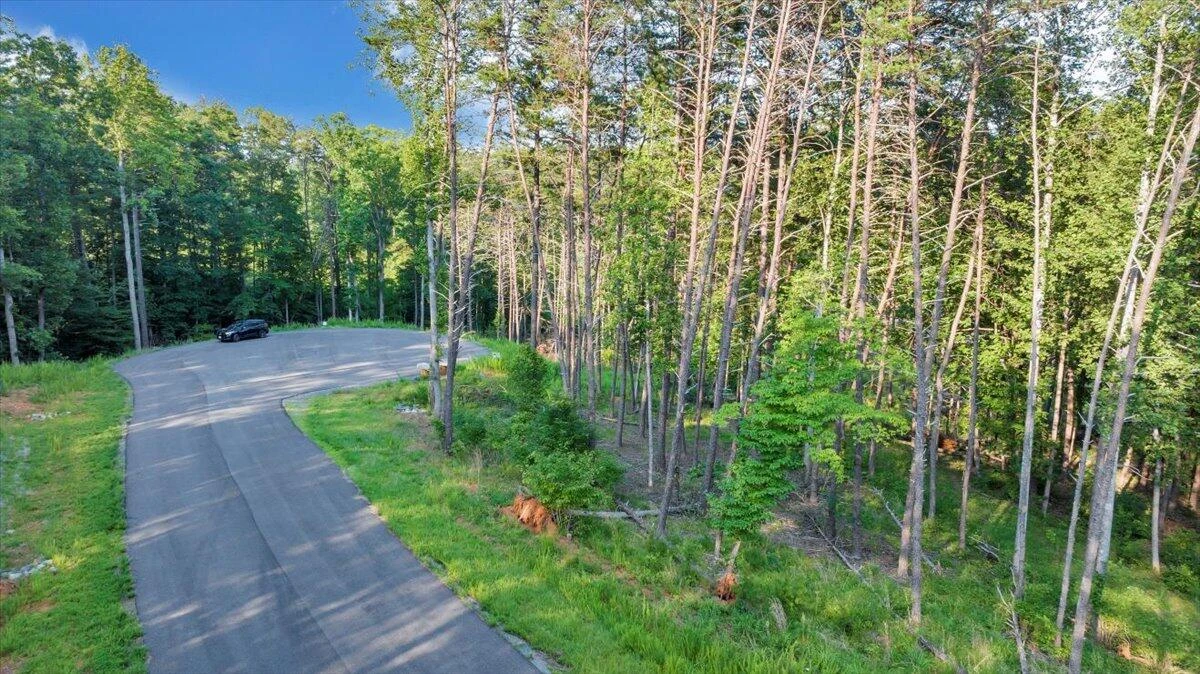 Lot 95 Crestview Dr - Photo 51