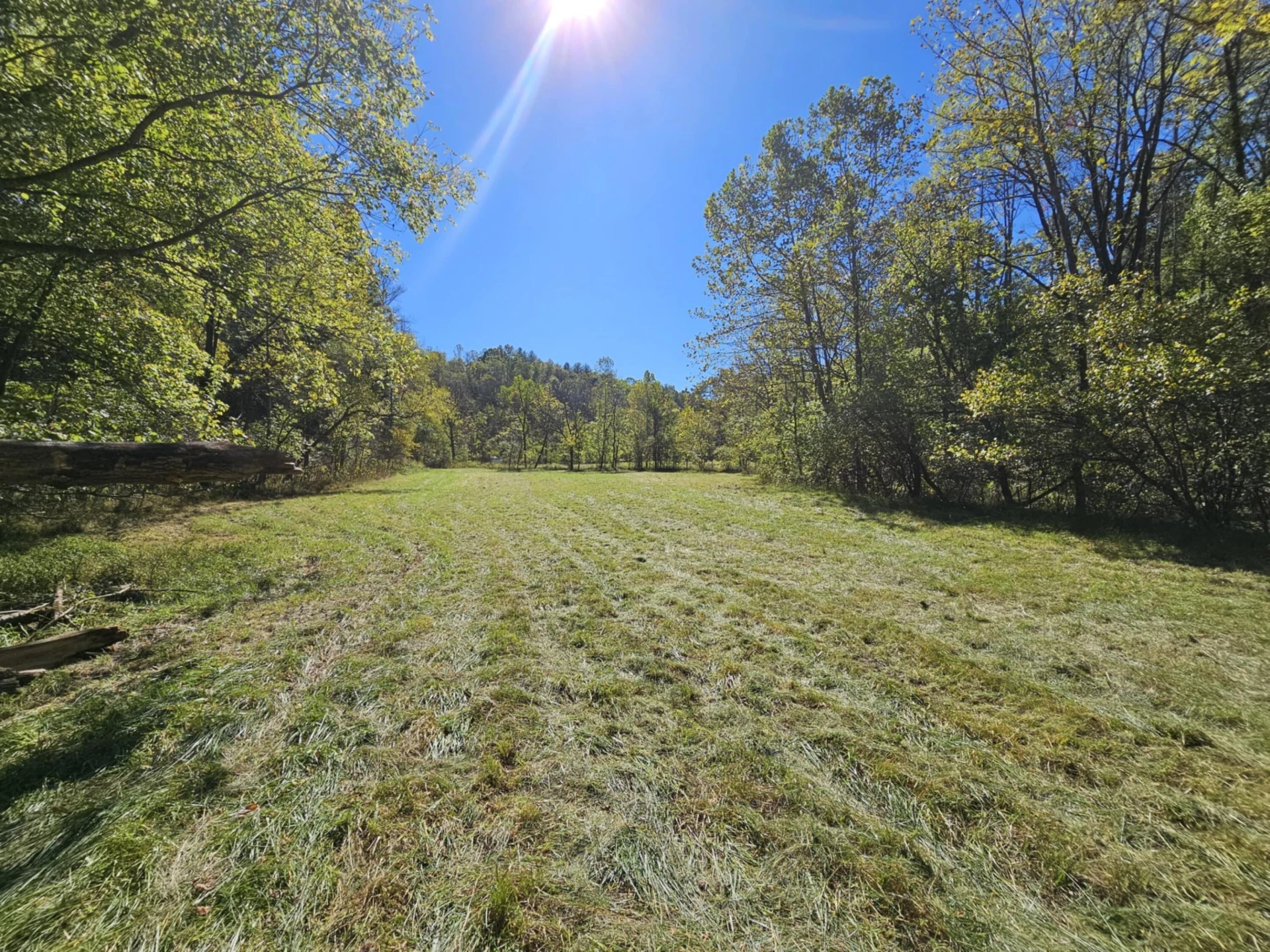 8150 Starlight LN - Photo 2