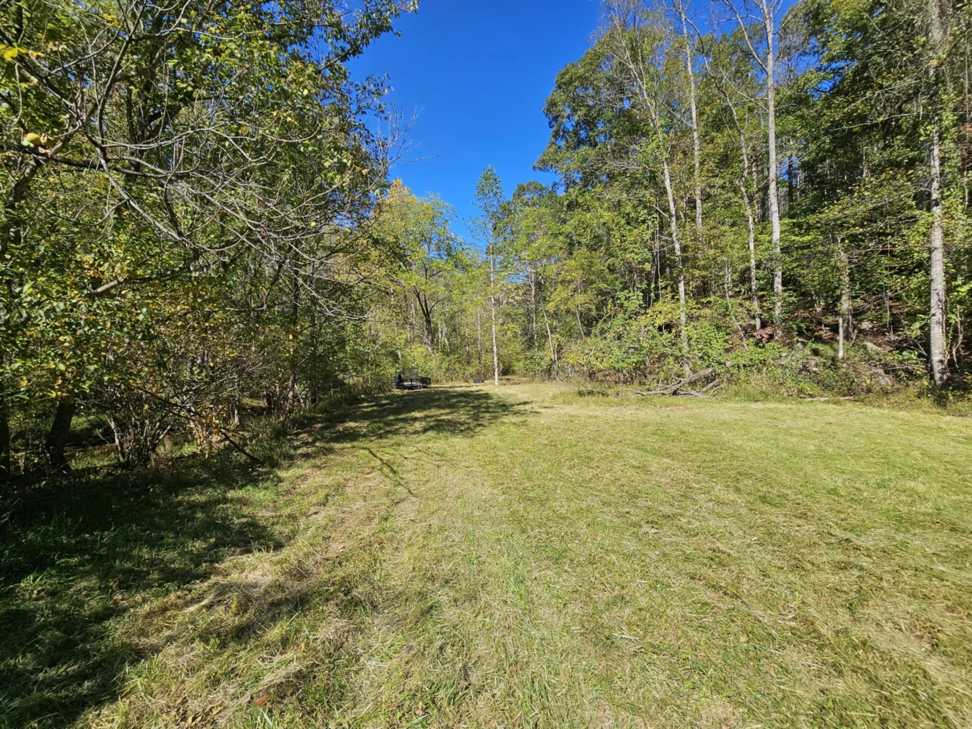 8150 Starlight LN - Photo 3