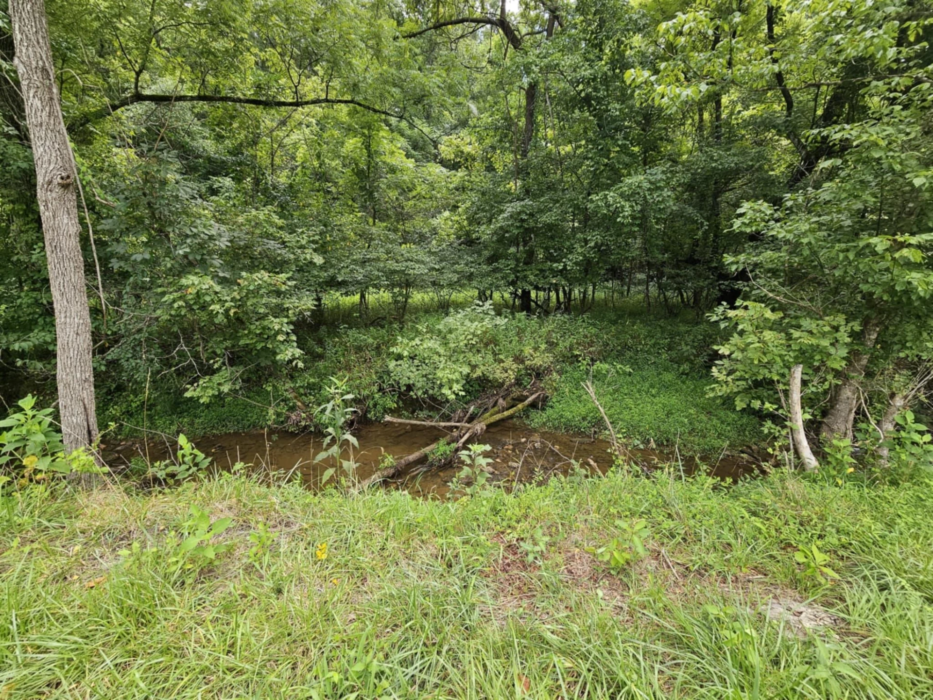 8150 Starlight LN - Photo 6
