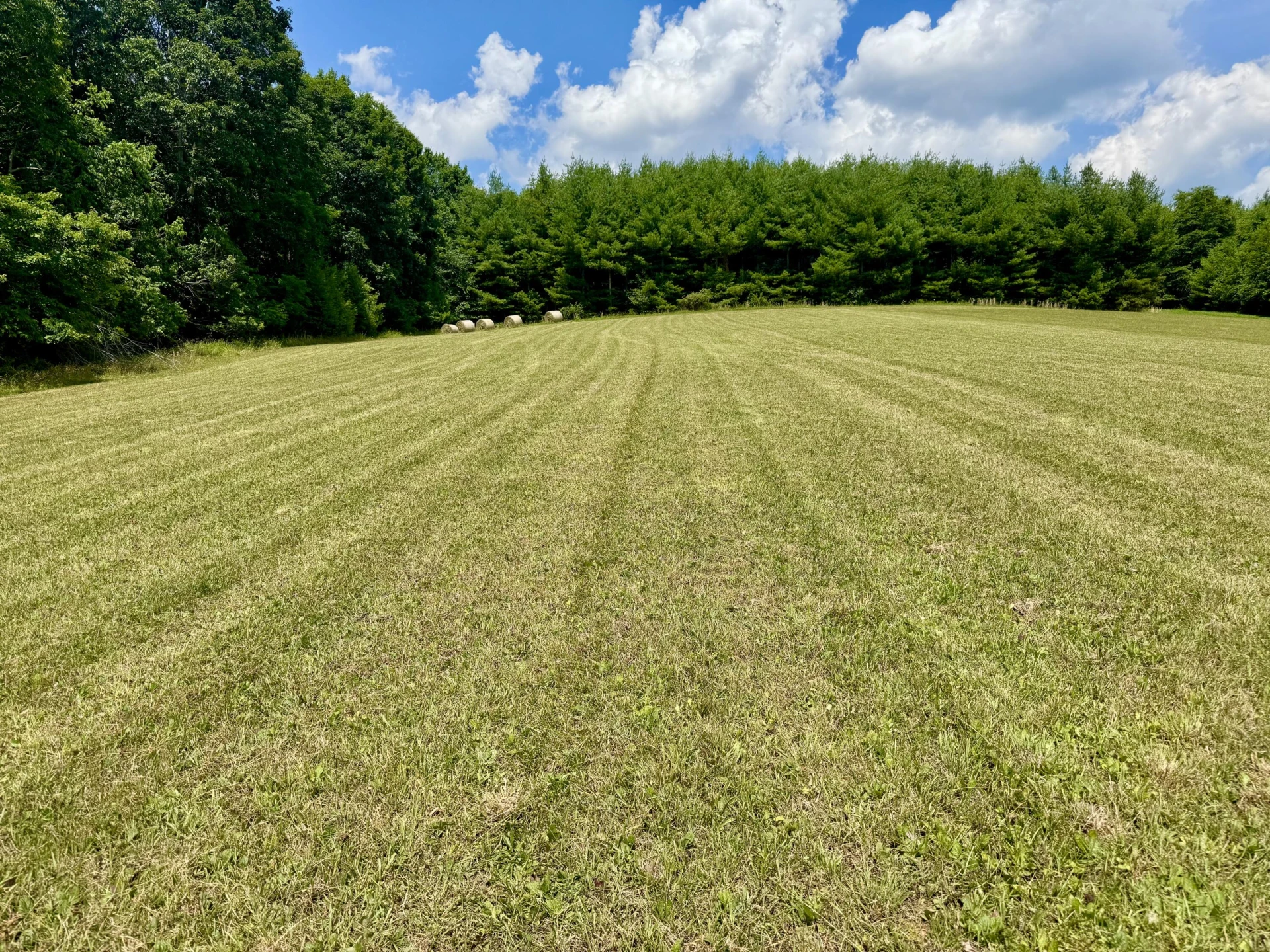 Lot 3 Roberson Mill RD SE - Photo 3