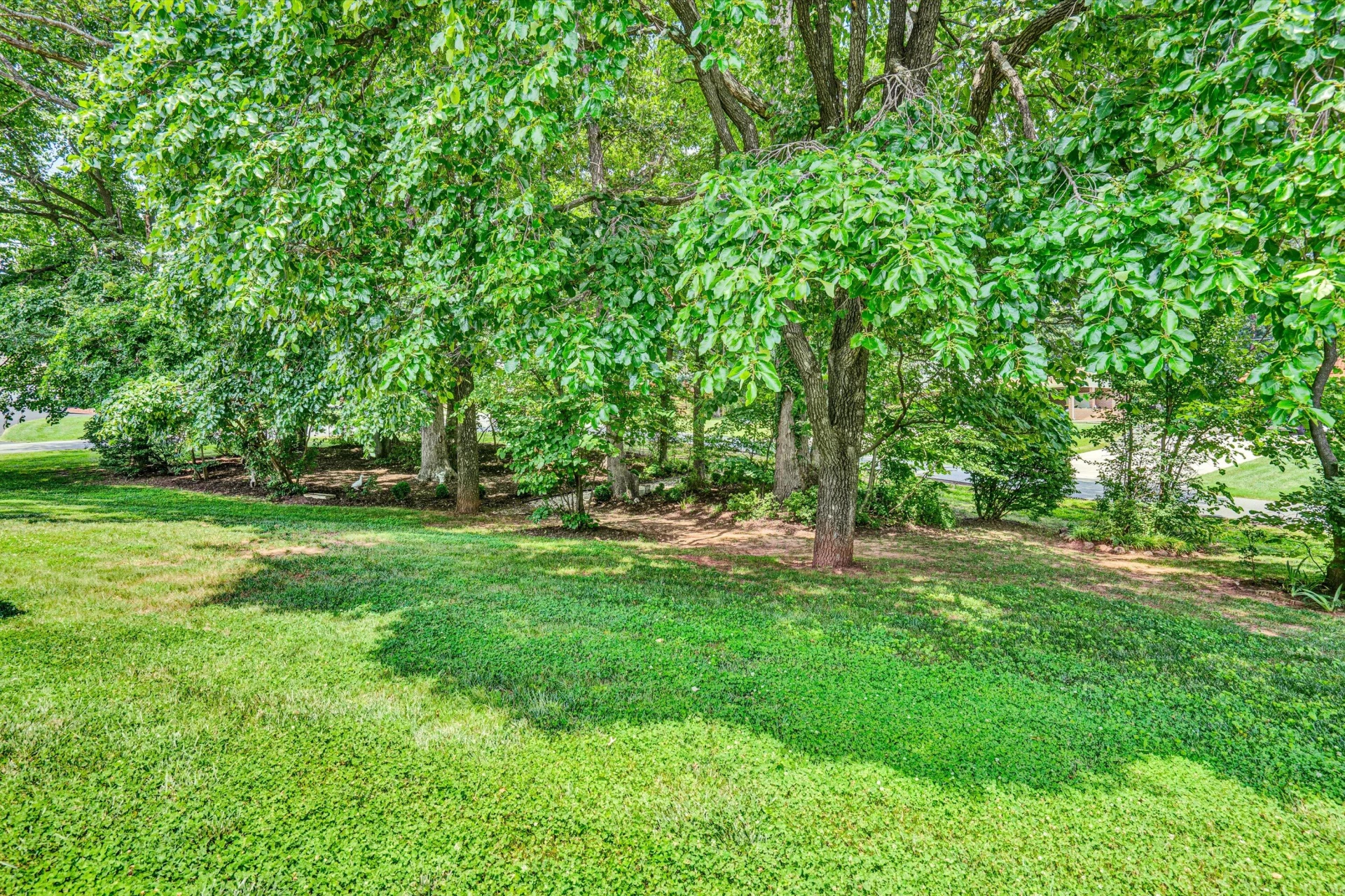 120 Vantage RD - Photo 49