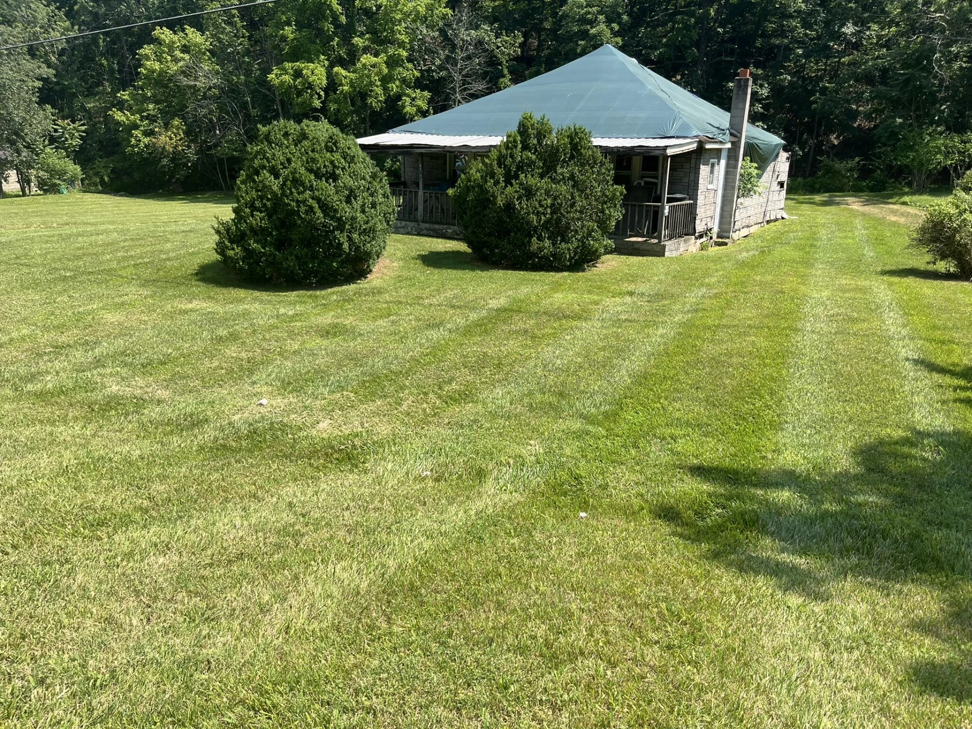 3702 Buck Mountain RD - Photo 3