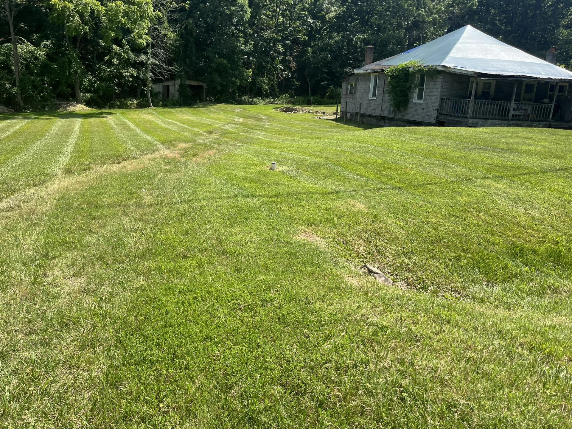 3702 Buck Mountain RD - Photo 4