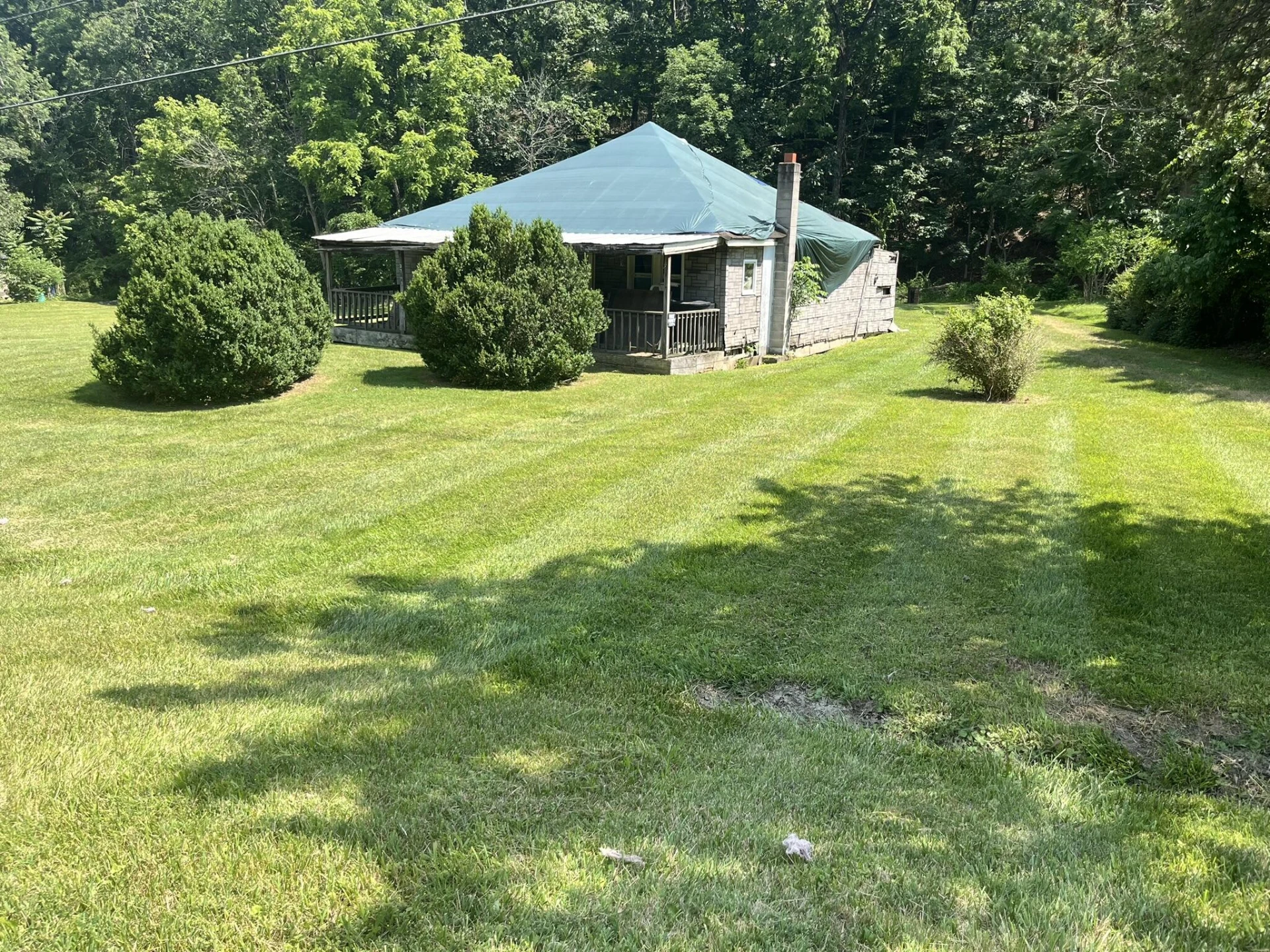 3702 Buck Mountain RD - Photo 5
